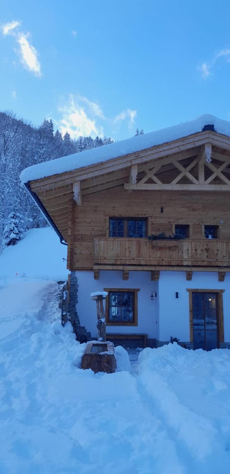 Riedlfeld Chalet Dienten am Hochkönig Kültér fotó